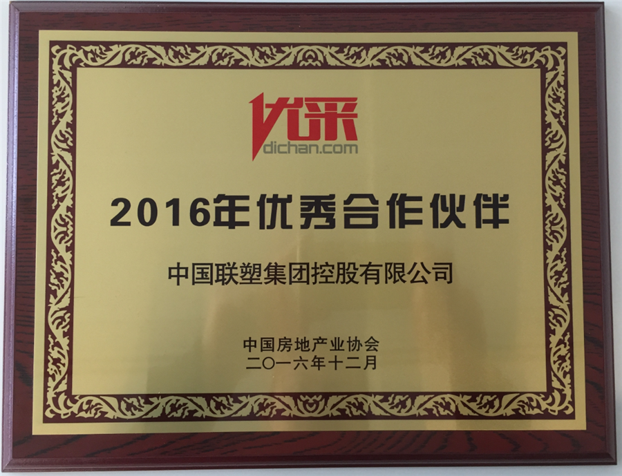 2016年优秀合作伙伴（中国完美平台登录入口）