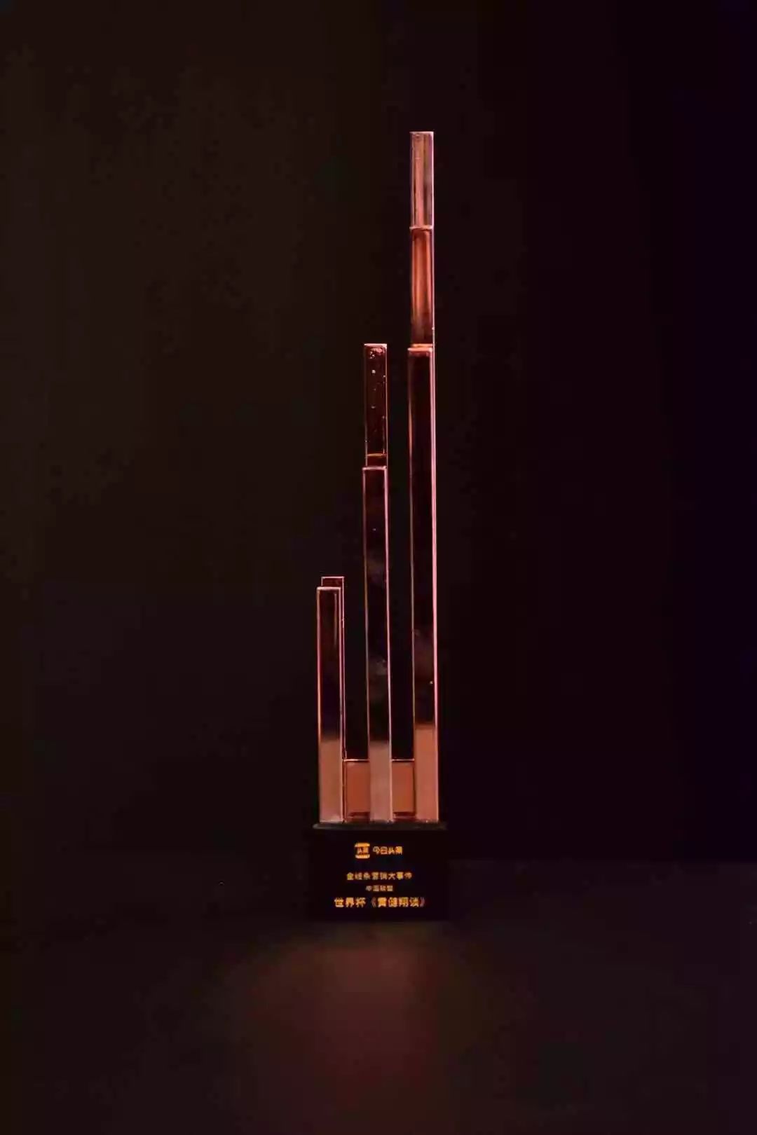 金线条营销品牌奖——中国完美平台登录入口《世界杯——黄健翔谈》