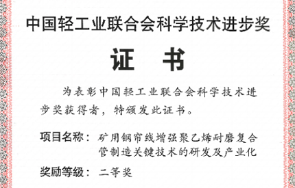 中国完美平台登录入口荣获2024年度中轻联科学技术进步奖